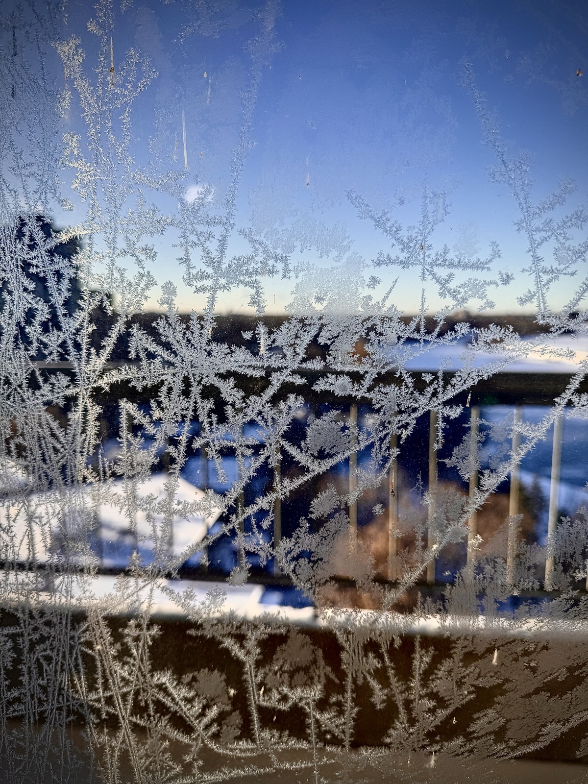 Frost crystals forming intricate dendritic patterns on a window pane, displaying the characteristic six-fold symmetry of ice crystallography